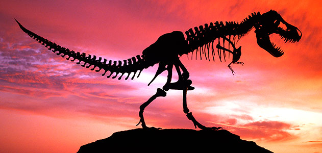 dinosaur-extinction-theories-top-ten-large